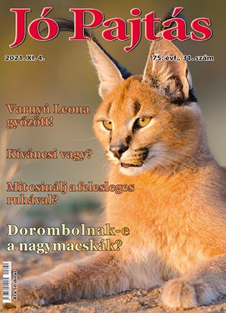 Jó Pajtás címoldal 2021. november 4.